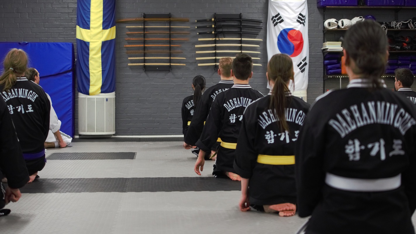 Hapkido Vuxen