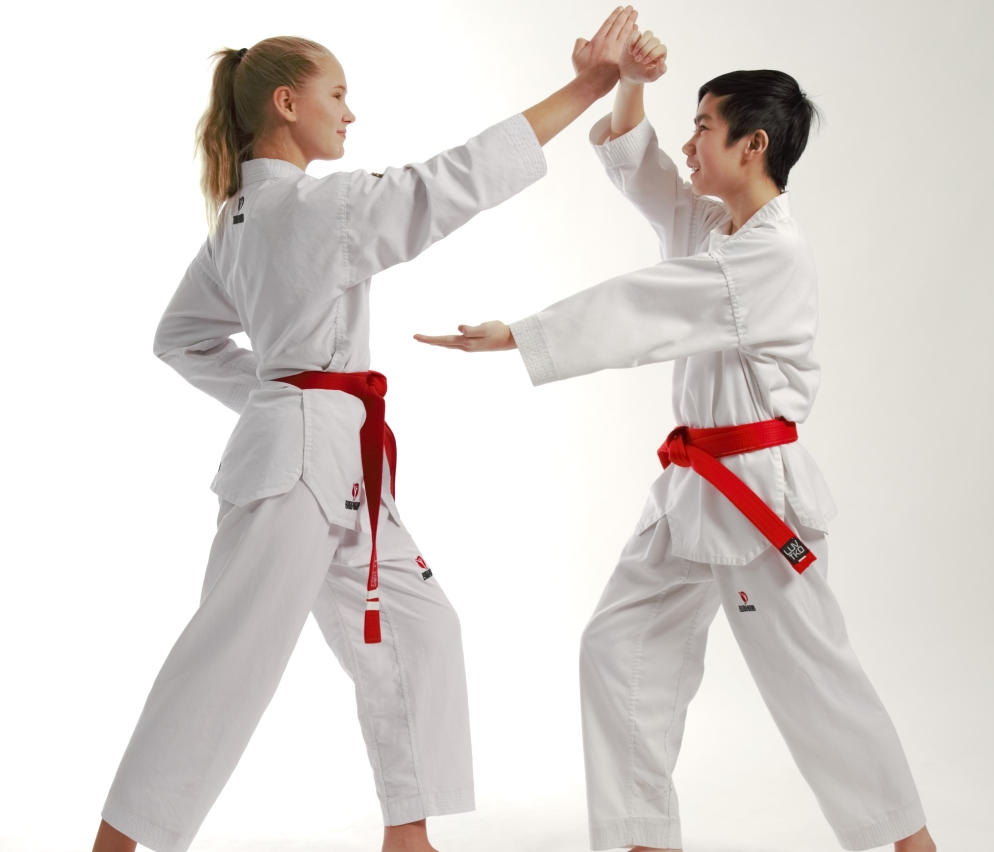 Taekwondo Grundpass