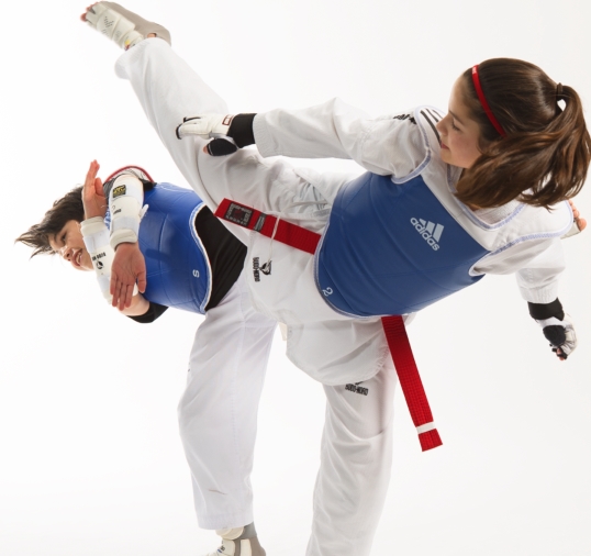 Haidong Gumdo Hero